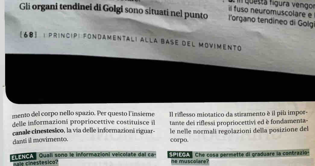 questa fígura vengor 
il fuso neuromuscolare e 
Gli organi tendinei di Golgi sono situati nel punto l'organo tendineo di Golgi 
68] I principi fondamentali alla base del movimento 
mento del corpo nello spazio. Per questo l’insieme Il riflesso miotatico da stiramento è il più impor- 
delle informazioni propriocettive costituisce il tante dei riflessi propriocettivi ed è fondamenta- 
canale cinestesico, la via delle informazioni riguar- le nelle normali regolazioni della posizione del 
danti il movimento. corpo. 
NoA Quali sono le informazioni veicolate dal ca- SPIEGAChe cosa permette di graduare la contrazio- 
nale cinestesico? ne muscolare?