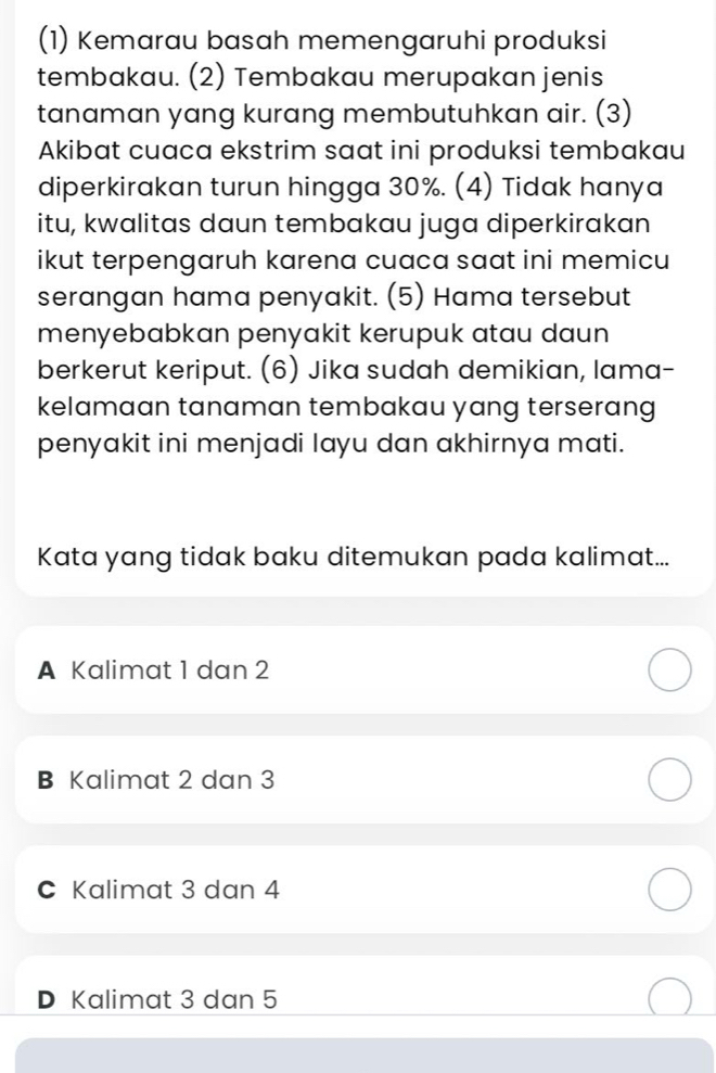 (1) Kemarau basah memengaruhi produksi
tembakau. (2) Tembakau merupakan jenis
tanaman yang kurang membutuhkan air. (3)
Akibat cuaca ekstrim saat ini produksi tembakau
diperkirakan turun hingga 30%. (4) Tidak hanya
itu, kwalitas daun tembakau juga diperkirakan
ikut terpengaruh karena cuaca saat ini memicu
serangan hama penyakit. (5) Hama tersebut
menyebabkan penyakit kerupuk atau daun
berkerut keriput. (6) Jika sudah demikian, lama-
kelamaan tanaman tembakau yang terserang 
penyakit ini menjadi layu dan akhirnya mati.
Kata yang tidak baku ditemukan pada kalimat...
A Kalimat 1 dan 2
B Kalimat 2 dan 3
C Kalimat 3 dan 4
D Kalimat 3 dan 5