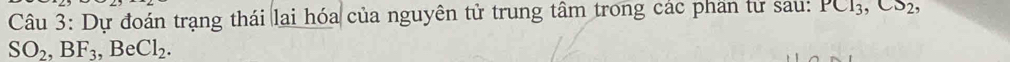 Dự đoán trạng thái lai hóa của nguyên tử trung tâm trong các phan từ sau: PCl_3, CS_2,
SO_2, BF_3 , Cl_2.