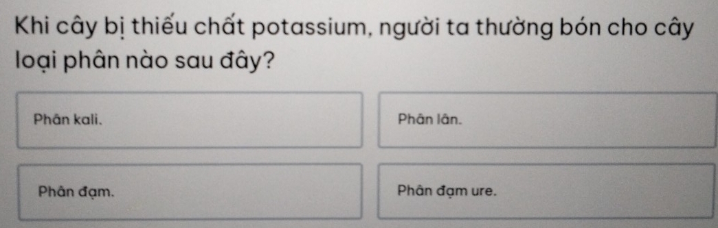 Khi cây bị thiếu chất potassium, người ta thường bón cho cây
loại phân nào sau đây?
Phân kali. Phân lân.
Phân đạm. Phân đạm ure.