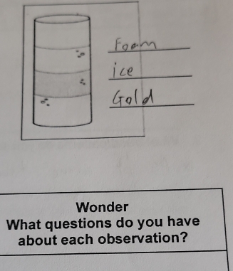 ξ 
_ 
_ 
Wonder 
What questions do you have 
about each observation?