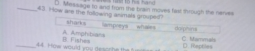 avels fast to his hand .
D. Message to and from the brain moves fast through the nerves
_43. How are the following animals grouped?
sharks lampreys whales dolphins
A. Amphibians C. Mammals
B. Fishes
_44. How would you describe the fur D. Reptiles