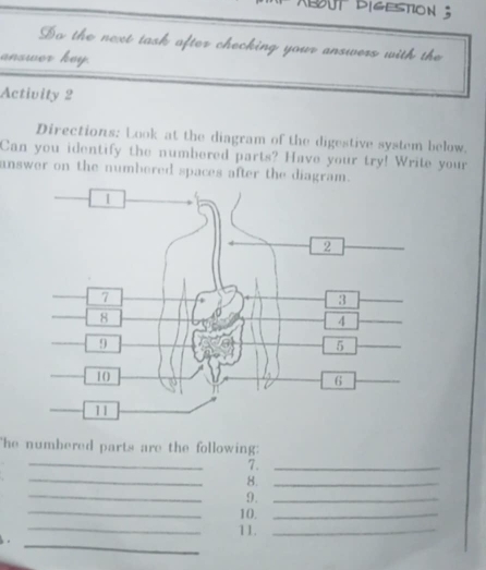 Dut digestion ; 
Do the next task after checking your answers with the 
answor key. 
Activity 2 
Directions: Look at the diagram of the digestive system below. 
Can you identify the numbered parts? Have your try! Write your 
answer on the numbered spaces after the diagram. 
_ 
The numbered parts are the following: 
_ 
7._ 
_ 
8._ 
_ 
9._ 
_ 
10._ 
_ 
11._