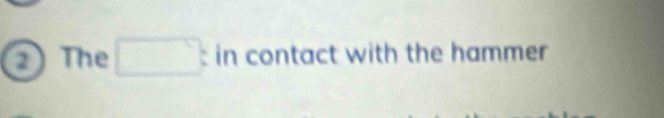 ② The □ in contact with the hammer