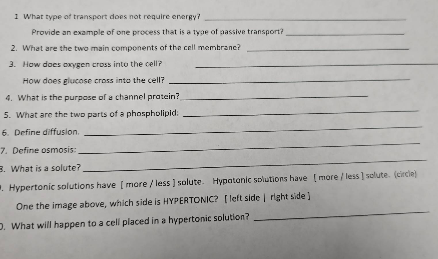 What type of transport does not require energy?_ 
Provide an example of one process that is a type of passive transport?_ 
2. What are the two main components of the cell membrane?_ 
3. How does oxygen cross into the cell? 
_ 
How does glucose cross into the cell?_ 
4. What is the purpose of a channel protein?_ 
5. What are the two parts of a phospholipid: 
_ 
6. Define diffusion. 
_ 
7. Define osmosis: 
_ 
8. What is a solute? 
_ 
9. Hypertonic solutions have [ more / less ] solute. Hypotonic solutions have [ more / less ] solute. (circle) 
One the image above, which side is HYPERTONIC? [ left side | right side ] 
0. What will happen to a cell placed in a hypertonic solution? 
_