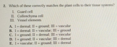 Which of these correctly matches the plant cells to their tissue systems?
I. Guard cell
II. Collenchyma cell
III. Vessel elements
A. I= dermal; II= ground; III= vascular
B. I= dermal; II= vascular; III= ground
C. I= ground; II= dermal; III= vascular
D. I= ground; II= vascular; III= dermal
E. I= vascular; II= ground; III= dermal