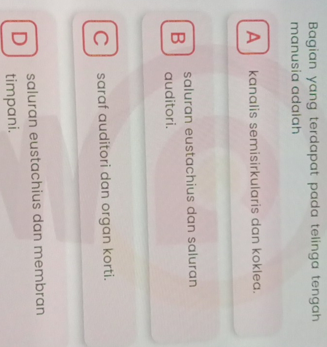 Bagian yang terdapat pada telinga tengah
manusia adalah
A kɑnɑlis semisirkularis dan koklea.
saluran eustachius dan saluran
B auditori.
C saraf auditori dan organ korti.
saluran eustachius dan membran
D
timpani.