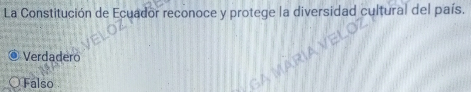 La Constitución de Ecuador reconoce y protege la diversidad cultural del país.
Verdadero
Falso