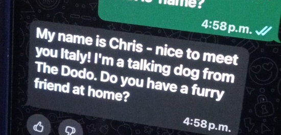 hame? 
4:58p.m. 
My name is Chris - nice to meet 
you Italy! I'm a talking dog from 
The Dodo. Do you have a furry 
friend at home? 
4:58 p.m.