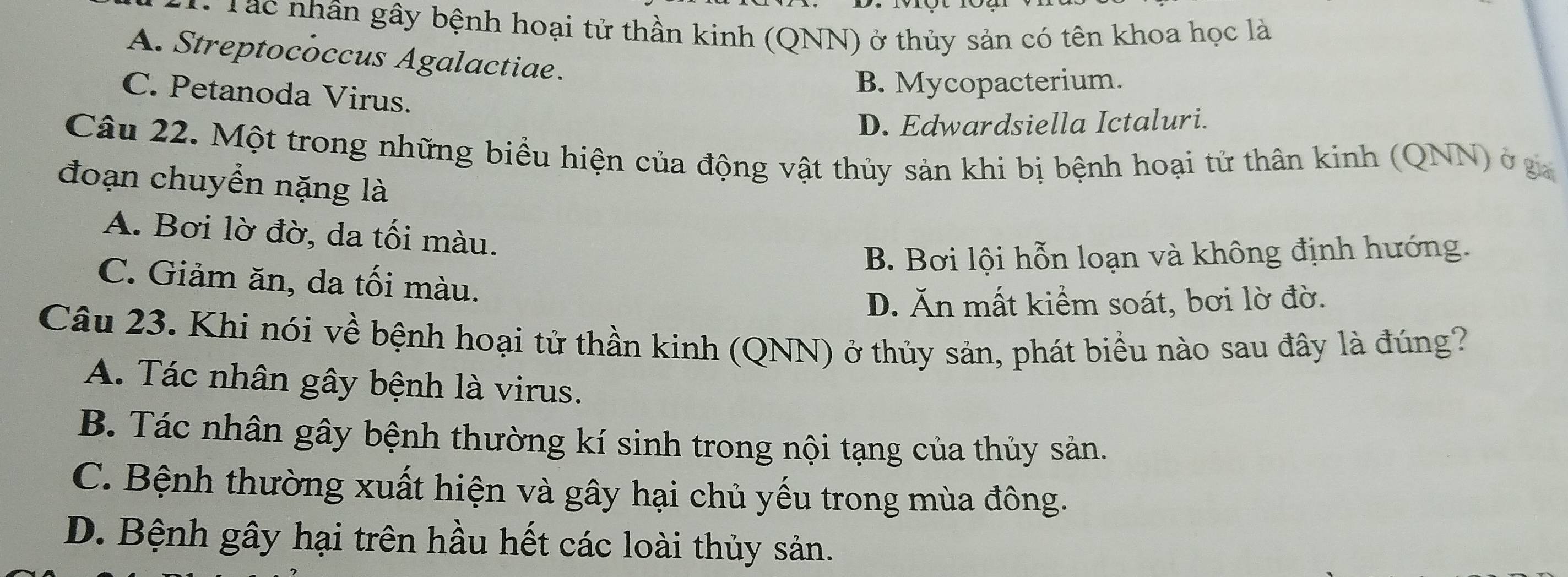 Tác nhân gây bệnh hoại tử thần kinh (QNN) ở thủy sản có tên khoa học là
A. Streptococcus Agalactiae.
C. Petanoda Virus.
B. Mycopacterium.
D. Edwardsiella Ictaluri.
Câu 22. Một trong những biểu hiện của động vật thủy sản khi bị bệnh hoại tử thân kinh (QNN) ở ga
đoạn chuyển nặng là
A. Bơi lờ đờ, da tối màu.
B. Bơi lội hỗn loạn và không định hướng.
C. Giảm ăn, da tối màu.
D. Ăn mất kiểm soát, bơi lờ đờ.
Câu 23. Khi nói về bệnh hoại tử thần kinh (QNN) ở thủy sản, phát biểu nào sau đây là đúng?
A. Tác nhân gây bệnh là virus.
B. Tác nhân gây bệnh thường kí sinh trong nội tạng của thủy sản.
C. Bệnh thường xuất hiện và gây hại chủ yếu trong mùa đông.
D. Bệnh gây hại trên hầu hết các loài thủy sản.