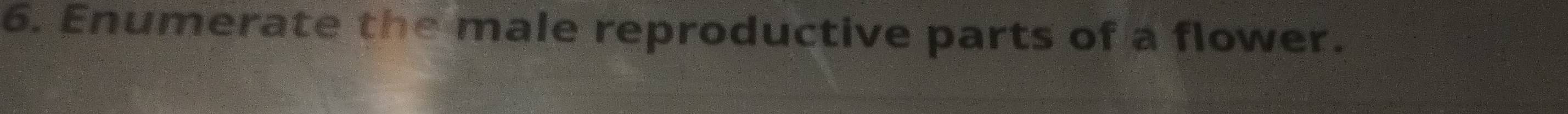 Enumerate the male reproductive parts of a flower.