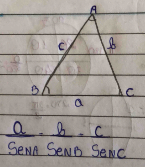  a/SeNA = b/SeNB = c/SeNC 