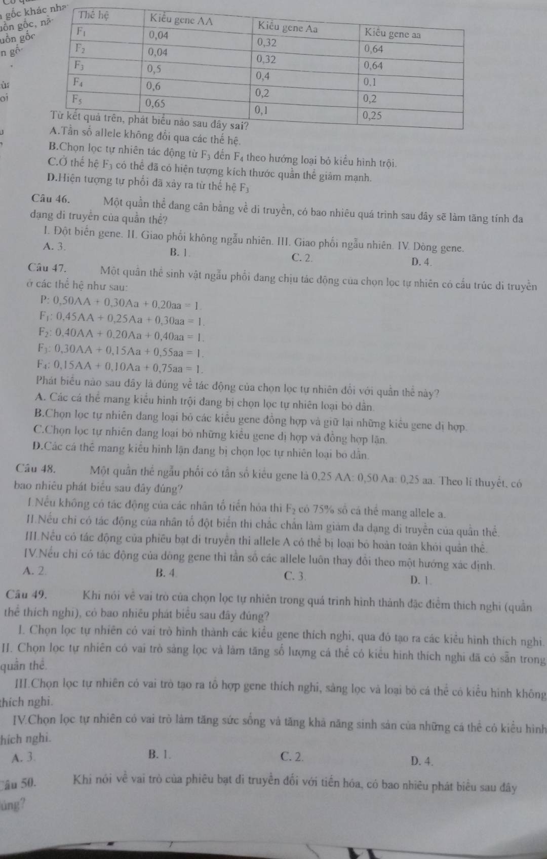 gốc khnh
lồn gốc,
gồn gốc
n gố
ù
01
B.Chọn lọc tự nhiên tác động từ F_3 dến F_4 theo hướng loại bỏ kiểu hình trội.
C.Ở thế hệ F_3 có thể đã có hiện tượng kích thước quần thể giảm mạnh.
D.Hiện tượng tự phối đã xảy ra từ thế hệ F_3
Câu 46. Một quần thể đang cân bằng về di truyền, có bao nhiêu quá trình sau đây sẽ làm tăng tính đa
dạng di truyền của quần thề?
I. Đột biến gene. II. Giao phối không ngẫu nhiên. III. Giao phối ngẫu nhiên. IV. Dòng gene.
A. 3. B. 1. C. 2. D. 4.
Câu 47. Một quân thể sinh vật ngẫu phổi đang chịu tác động của chọn lọc tự nhiên có cấu trúc di truyền
ở các thể hệ như sau:
P:0,50AA+0,30Aa+0,20aa=1.
F_1:0.45AA+0.25Aa+0.30aa=1.
F_2:0,40AA+0,20Aa+0,40aa=1.
F_3:0,30AA+0,15Aa+0,55aa=1.
F_4:0,15AA+0,10Aa+0,75aa=1.
Phát biểu nào sau đây là đúng về tác động của chọn lọc tự nhiên đổi với quần thể này?
A. Các cá thể mang kiểu hình trội đang bị chọn lọc tự nhiên loại bỏ dần.
B.Chọn lọc tự nhiên đang loại bỏ các kiểu gene đồng hợp và giữ lại những kiểu gene đị hợp.
C.Chọn lọc tự nhiên đang loại bỏ những kiều gene dị hợp và đồng hợp lận.
D.Các cá thể mang kiểu hình lận đang bị chọn lọc tự nhiên loại bó dẫn.
Câu 48. Một quần thể ngẫu phối có tần số kiểu gene là 0,25 AA: 0,50 Aa: 0,25 aa. Theo lí thuyết, có
bao nhiêu phát biểu sau đây đúng?
LNếu không có tác động của các nhân tổ tiến hỏa thì F_2 có 75% số cá thể mang allele a.
II.Nếu chi có tác động của nhân tố đột biến thi chắc chấn làm giám đa dạng di truyền của quần thể.
III.Nều có tác động của phiêu bạt di truyền thì allele A có thể bị loại bỏ hoàn toàn khỏi quần thể.
IV.Nếu chỉ có tác động của dông gene thi tần số các allele luôn thay đổi theo một hướng xác định.
A. 2. B. 4
C. 3. D. 1.
Câu 49. Khi nói về vai trò của chọn lọc tự nhiên trong quá trình hình thành đặc điểm thích nghi (quần
thể thích nghi), có bao nhiều phát biểu sau đây đúng?
I. Chọn lọc tự nhiên có vai trò hình thành các kiểu gene thích nghi, qua đó tạo ra các kiểu hình thích nghi
I. Chọn lọc tự nhiên có vai trò sàng lọc và làm tăng số lượng cá thể có kiểu hình thích nghi đã có sẵn trong
quần thể.
III.Chọn lọc tự nhiên có vai trò tạo ra tổ hợp gene thích nghi, sàng lọc và loại bỏ cá thể cô kiểu hình không
thích nghi.
IV.Chọn lọc tự nhiên có vai trò làm tăng sức sống vả tăng khả năng sinh sản của những cá thể có kiều hình
hích nghi.
A. 3. B. 1. C. 2. D. 4.
Câu 50. Khi nói về vai trò của phiêu bạt di truyền đối với tiến hóa, có bao nhiêu phát biểu sau đây
lúng?