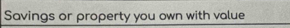 Savings or property you own with value