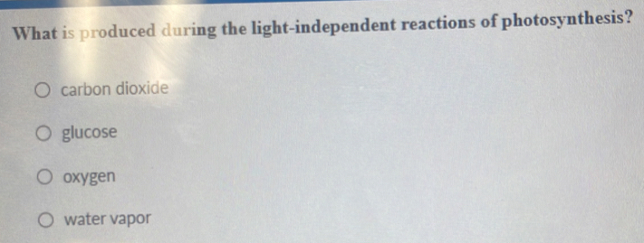 What is produced during the light-independent reactions of photosynthesis?
carbon dioxide
glucose
oxygen
water vapor