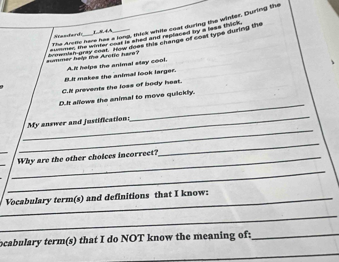 The Arctic hare has a long, thick white coat during the winter. During the
Standard: L.8.4A
summer, the winter coat is shed and replaced by a less thick
brownish-gray coat. How does this change of coat type during the
summer help the Arctic hare?
A.It helps the animal stay cool.
B.It makes the animal look larger.
C.It prevents the loss of body heat.
_
D.It allows the animal to move quickly.
_
_
My answer and justification:
_
_
_Why are the other choices incorrect?
_
_
_Vocabulary term(s) and definitions that I know:
_
bcabulary term(s) that I do NOT know the meaning of:_
_
