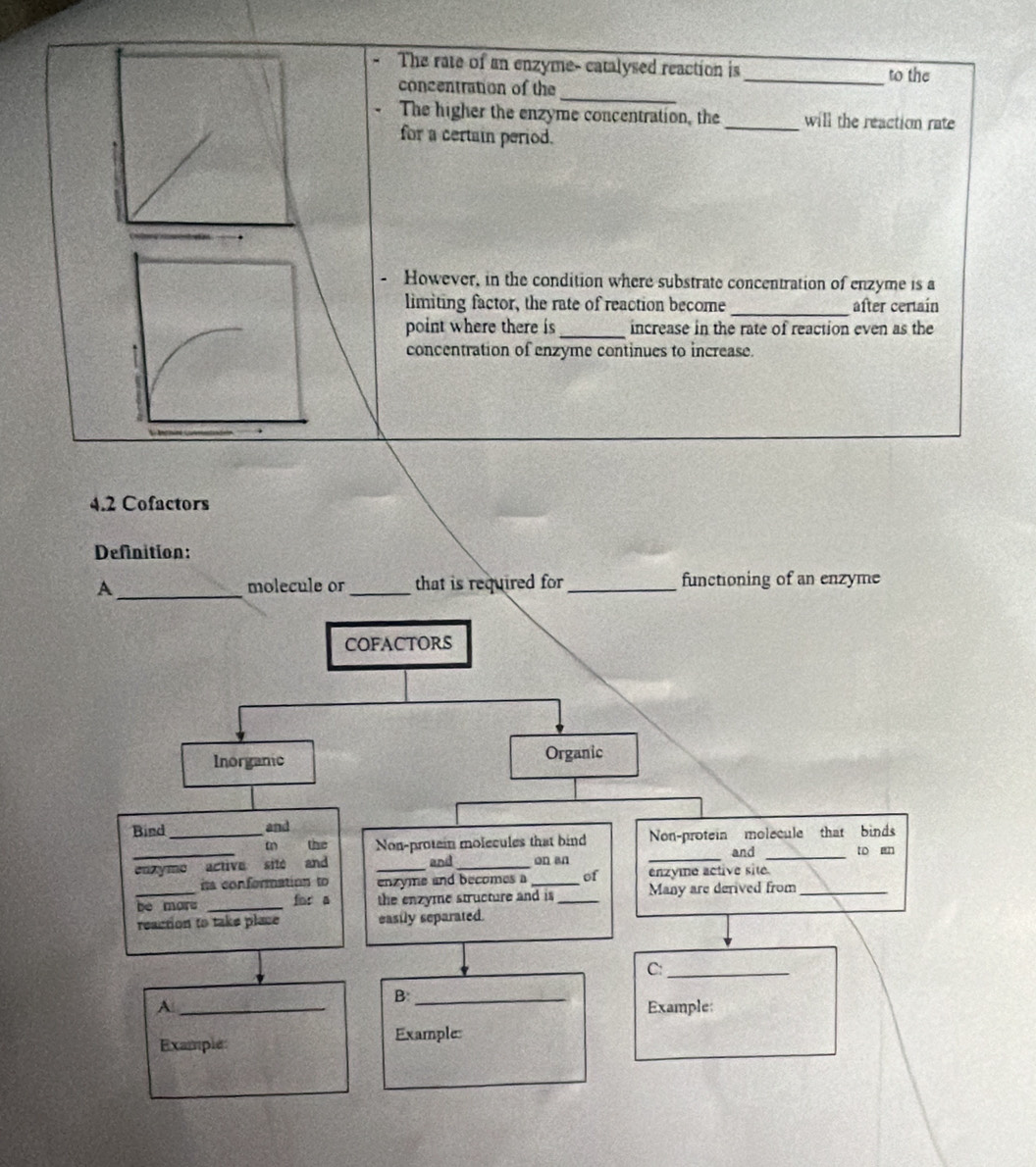 The rate of an enzyme- catalysed reaction is _to the 
_ 
concentration of the 
The higher the enzyme concentration, the _will the reaction rate 
for a certain period. 
However, in the condition where substrate concentration of enzyme is a 
limiting factor, the rate of reaction become _after certaín 
point where there is _increase in the rate of reaction even as the 
concentration of enzyme continues to increase.
4.2 Cofactors 
Definition: 
A_ molecule or_ that is required for _functioning of an enzyme 
COFACTORS 
Inorganic Organic 
Bind _and 
tn the Non-protein molecules that bind Non-protein molecule that binds 
and 
enxyme active site and _and_ on an __to en 
s conformation to enzyme and becomes a _of énzyme active site. 
_be mors _for a the enzyme structure and is _Many are derived from_ 
reaction to take place easily separated. 
C:_ 
B:_ 
A _Example: 
Example Example: