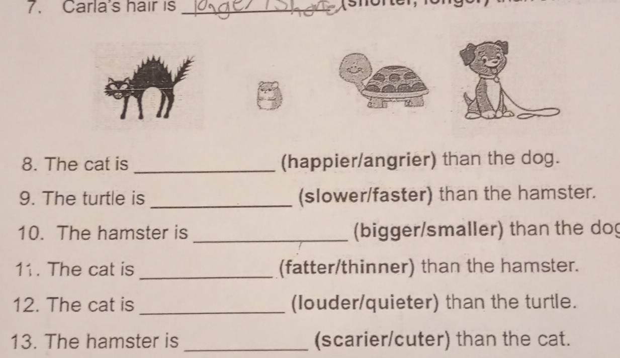 Carla's hair is_ 
8. The cat is _(happier/angrier) than the dog. 
9. The turtle is _(slower/faster) than the hamster. 
10. The hamster is _(bigger/smaller) than the dog 
11. The cat is _(fatter/thinner) than the hamster. 
12. The cat is _(louder/quieter) than the turtle. 
13. The hamster is _(scarier/cuter) than the cat.