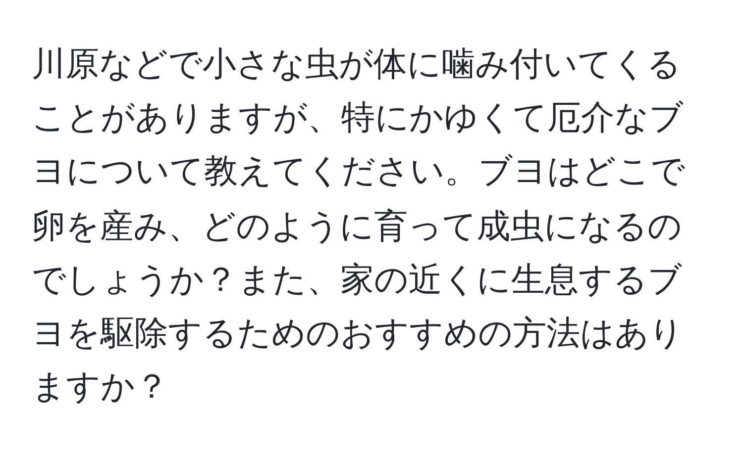 川原などで小さな虫が体に噛み付いてくることがありますが、特にかゆくて厄介なブヨについて教えてください。ブヨはどこで卵を産み、どのように育って成虫になるのでしょうか？また、家の近くに生息するブヨを駆除するためのおすすめの方法はありますか？