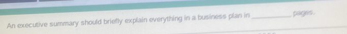 An executive summary should briefly explain everything in a business plan in _tages.