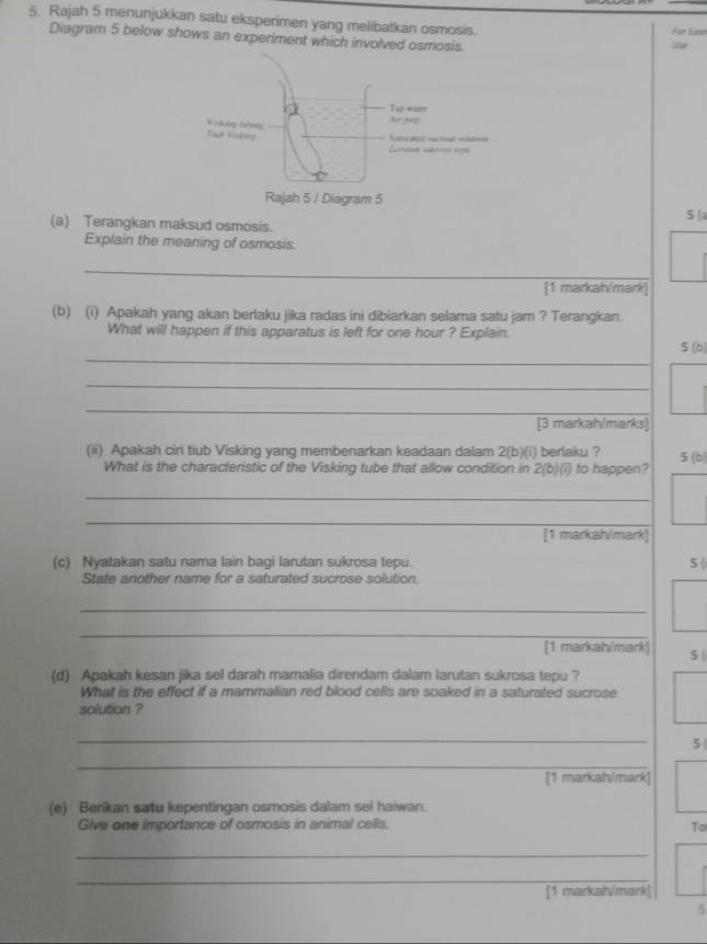 Rajah 5 menunjukkan satu eksperimen yang melibatkan osmosis. Für Éasn 
Diagram 5 below shows an experiment which involved osmosis. 
5 (a 
(a) Terangkan maksud osmosis. 
Explain the meaning of osmosis. 
_ 
[1 markat/mark] 
(b) (i) Apakah yang akan berlaku jika radas ini dibiarkan selama satu jam ? Terangkan. 
_ 
What will happen if this apparatus is left for one hour ? Explain. 5 (b) 
_ 
_ 
[3 markah/marks] 
(ii) Apakah ciri tiub Visking yang membenarkan keadaan dalam 2(b)(i) berlaku ? 5 (b) 
What is the characteristic of the Visking tube that allow condition in 2(b)(i) to happen? 
_ 
_ 
_ 
[1 markah/mark] 
(c) Nyatakan satu nama lain bagi larutan sukrosa tepu. 5 ( 
State another name for a saturated sucrose solution. 
_ 
_ 
[1 markah/mark] 5 ( 
(d) Apakah kesan jika sel darah mamalia direndam dalam larutan sukrosa tepu ? 
What is the effect if a mammalian red blood cells are soaked in a saturated sucrose 
solution ? 
_ 
5 
_ 
[1 markah/mark] 
(e) Berikan satu kepentingan osmosis dalam sel haiwan. 
Give one importance of osmosis in animal cells. 
To 
_ 
_ 
[1 markal√mark] 
5