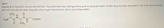 Cău 5
Peptide X có công thức cầu tạo như hình bên. Thủy phần hoàn toàn 2,604 gam X trong 40 mL dung dịch NaOH 1M đun nóng, thu được dung dịch Y. Cho Y tác dụng với dung
dịch HCI (vừa đủ), thu được dung dịch chứa m gam chất rần khan. Giá trị của m là bao nhiều?