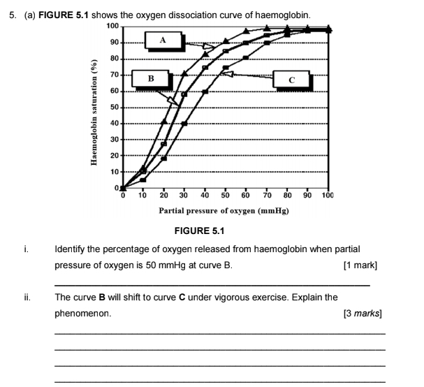 FIGURE 5.1 shows the oxygen dissociation curve of haemoglobin. 
FIGURE 5.1 
i. Identify the percentage of oxygen released from haemoglobin when partial 
pressure of oxygen is 50 mmHg at curve B. [1 mark] 
_ 
ⅱ. The curve B will shift to curve C under vigorous exercise. Explain the 
phenomenon. [3 marks] 
_ 
_ 
_ 
_