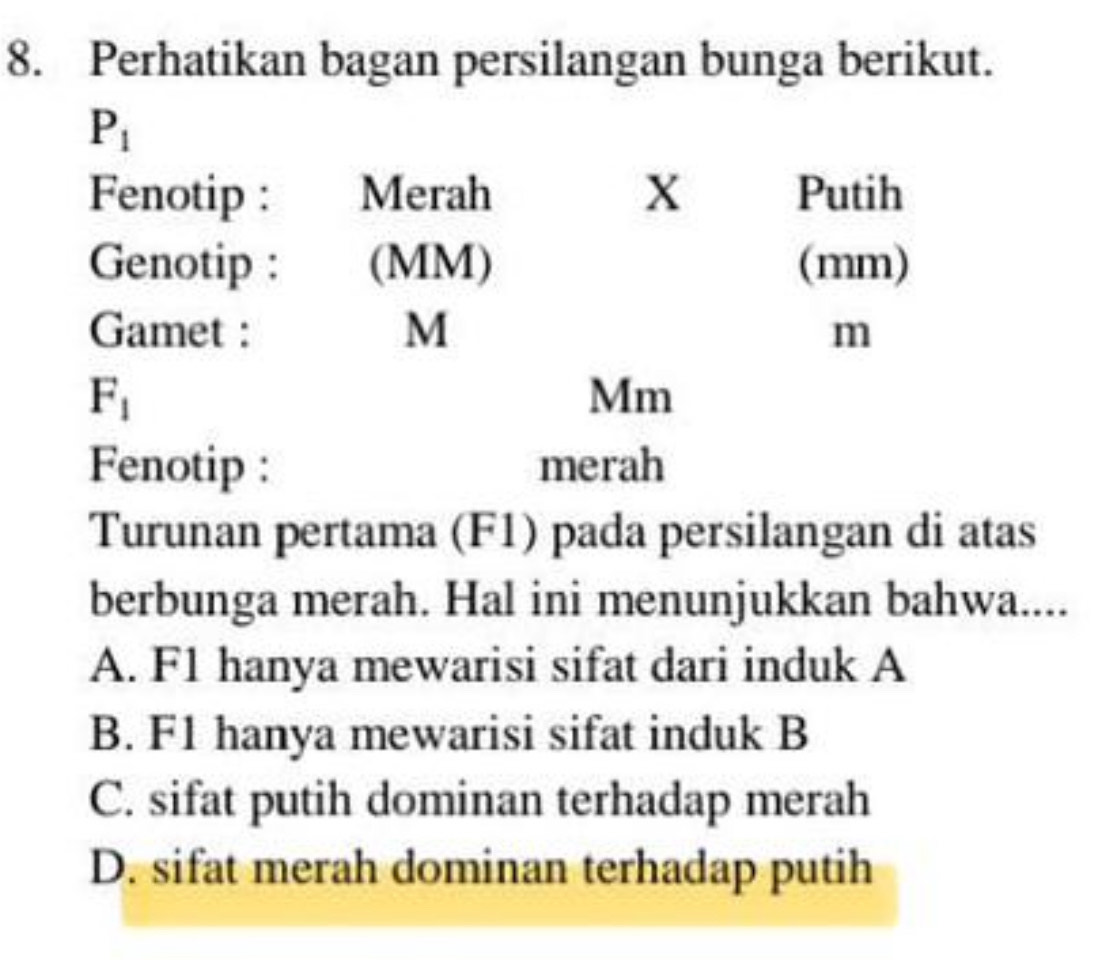 Perhatikan bagan persilangan bunga berikut.
P_1
Fenotip : Merah X Putih
Genotip : (MM) (mm)
Gamet : M m
F_1
Mm
Fenotip : merah
Turunan pertama (F1) pada persilangan di atas
berbunga merah. Hal ini menunjukkan bahwa....
A. F1 hanya mewarisi sifat dari induk A
B. F1 hanya mewarisi sifat induk B
C. sifat putih dominan terhadap merah
D. sifat merah dominan terhadap putih