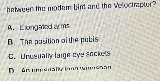 between the modern bird and the Velociraptor?
A. Elongated arms
B. The position of the pubis
C. Unusually large eye sockets
D An unusually long wingspan