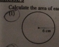 Calculate the area of ea 
(1)