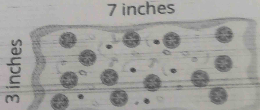 7 inches
C