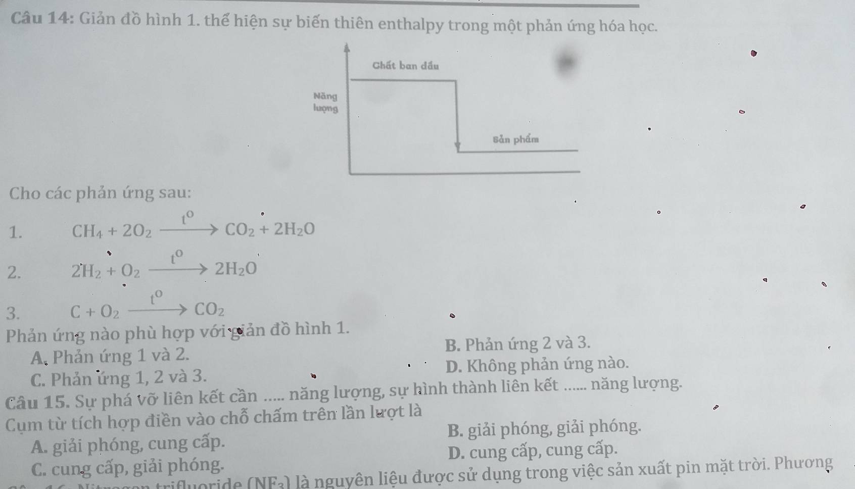 Giản đồ hình 1. thể hiện sự biến thiên enthalpy trong một phản ứng hóa học.
Chất ban đầu
Năng
lượng
Sản phẩm
Cho các phản ứng sau:
1. CH_4+2O_2xrightarrow t^0CO_2+2H_2O
2. 2H_2+O_2xrightarrow t^02H_2O
3. C+O_2xrightarrow t^0CO_2
Phản ứng nào phù hợp với giản đồ hình 1.
B. Phản ứng 2 và 3.
A. Phản ứng 1 và 2.
C. Phản ứng 1, 2 và 3. D. Không phản ứng nào.
Câu 15. Sự phá vỡ liên kết cần ..... năng lượng, sự hình thành liên kết ...... năng lượng.
Cụm từ tích hợp điền vào chỗ chấm trên lần lượt là
B. giải phóng, giải phóng.
A. giải phóng, cung cấp.
D. cung cấp, cung cấp.
C. cung cấp, giải phóng.
poride (NF₃) là nguyên liệu được sử dụng trong việc sản xuất pin mặt trời. Phương