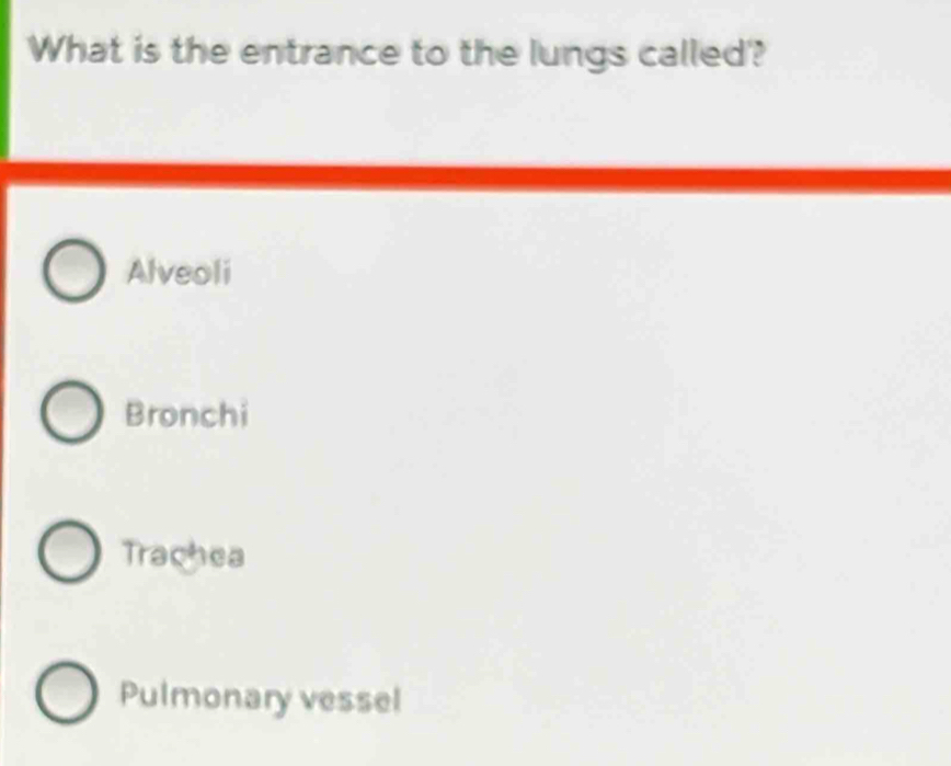 What is the entrance to the lungs called?
Alveoli
Bronchi
Trachea
Pulmonary vessel