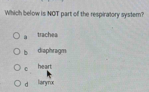 Which below is NOT part of the respiratory system?
a trachea
b diaphragm
C heart
d larynx