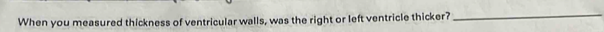 When you measured thickness of ventricular walls, was the right or left ventricle thicker?_