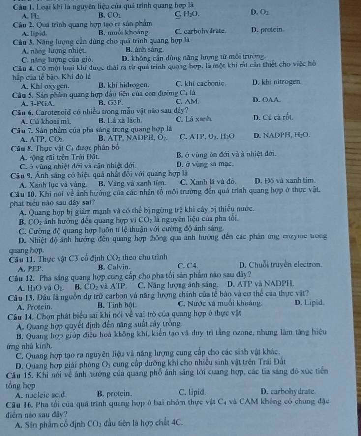 Loại khí là nguyên liệu của quá trình quang hợp là
A. H_2 B. CO_2 C. H_2O. D. O_2
Câu 2. Quả trình quang hợp tạo ra sản phẩm
A. lipid. B. muối khoáng. C. carbohydrate. D. protein.
Câu 3. Năng lượng cần dùng cho quá trình quang hợp là
A. năng lượng nhiệt. B. ánh sáng.
C. năng lượng của gió. D. không cần dùng năng lượng từ môi trường.
Câu 4. Có một loại khí được thái ra từ quá trình quang hợp, là một khí rắt cần thiết cho việc hồ
hập của tế bão. Khi đó là
A. Khi oxygen. B. khi hidrogen. C. khi cacbonic. D. khi nitrogen.
Câu 5. Sản phẩm quang hợp đầu tiên của con đường C: là
A. 3-PGA. B. G3P. C. AM. D. OAA.
Câu 6. Carotenoid có nhiều trong mẫu vật nào sau đây?
A. Củ khoai mì. B. Lá xã lách. C. Lá xanh. D. Củ cả rốt.
Câu 7. Sản phẩm của pha sáng trong quang hợp là
A. ATF CO_2. B. ATP. NADPH, O_2. C. ATP,O_2.H_2O D. NADPH, H_2O.
Câu 8. Thực vật C, được phân bố
A. rộng rãi trên Trái Đắt. B. ở vùng ôn đới và ả nhiệt đới.
C. ở vùng nhiệt đới và cận nhiệt đới. D. ở vùng sa mạc.
Câu 9. Ảnh sáng có hiệu quả nhất đổi với quang hợp là
A. Xanh lục và vàng. B. Vàng và xanh tím. C. Xanh là và đô. D. Đỏ và xanh tim.
Câu 10. Khi nói về ảnh hưởng của các nhân tố môi trường đến quá trình quang hợp ở thực vật,
phát biểu nào sau đây sai?
A. Quang hợp bị giảm mạnh và có thể bị ngừng trệ khi cây bị thiểu nước.
B. CO_2 ảnh hưởng đến quang hợp vì CO_2 là nguyên liệu của pha tối.
C. Cường độ quang hợp luôn tỉ lệ thuận với cường độ ánh sáng.
D. Nhiệt độ ảnh hưởng đến quang hợp thông qua ảnh hướng đến các phản ứng enzyme trong
quang hợp.
Câu 11. Thực vật C3 cố định CO_2 theo chu trinh
A. PEP. B. Calvin. C. C4. D. Chuỗi truyền electron.
Câu 12. Pha sáng quang hợp cung cấp cho pha tối sản phẩm nào sau đây?
A. H_2O và O_2. B. CO_2 và ATP C. Năng lượng ánh sáng. D. ATP và NADPH.
Câu 13. Đâu là nguồn dự trữ carbon và năng lượng chính của tể bào và cơ thể của thực vật?
A. Protein. B. Tinh bột. C. Nước và muối khoáng. D. Lipid.
Câu 14. Chọn phát biểu sai khị nói về vai trò của quang hợp ở thực vật
A. Quang hợp quyết định đến năng suất cây trồng.
B. Quang hợp giúp điều hoà không khí, kiến tạo và duy trì tằng ozone, nhưng làm tăng hiệu
ứng nhà kính.
C. Quang hợp tạo ra nguyên liệu và năng lượng cung cấp cho các sinh vật khác.
D. Quang hợp giải phóng O_2 cung cấp dưỡng khí cho nhiêu sinh vật trên Trái Đất
Câu 15. Khi nói về ảnh hưởng của quang phố ánh sáng tới quang hợp, các tia sáng đô xúc tiến
tổng hợp
A. nucleic acid. B. protein. C. lipid. D. carbohy drate.
Câu 16. Pha tối của quá trình quang hợp ở hai nhóm thực vật ở -4 và CAM không có chung đặc
diểm nào sau đây?
A. Sản phâm cổ định CO_2 đầu tiên là hợp chất 4C.