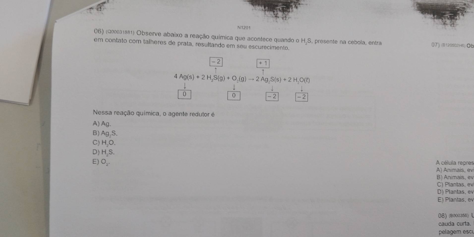 N1201
06) (200031881) Observe abaixo a reação química que acontece quando o H₂S. presente na cebola, entra 07) (B120502H6) Ob
em contato com talheres de prata, resultando em seu escurecimento.
-2
+ 1
4 Ag(s)+2H_2S(g)+O_2(g)to 2Ag_2S(s)+2H_2O(l)
0
0 - 2 -2
Nessa reação química, o agente redutor é
A) Ag.
B) Ag, S.
C) H_2O.
D) H_2S.
E) O_2. A célula repres
A) Animais, evi
B) Animais, evi
C) Plantas, ev
D) Plantas, ev
E) Plantas, ev
08) (B000356) L
cauda curta.
pelagem escu