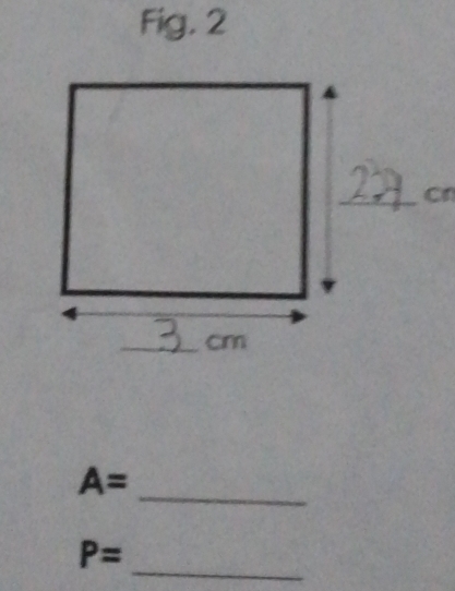 Fig. 2 
_
A=
_
P=