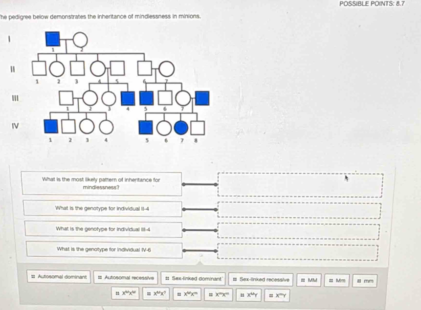 POSSIBLE POINTS: 8.7
he pedigree below demonstrates the inheritance of mindlessness in minions.
IV
What is the most likely pattern of inheritance for
5
mindlessness?
What is the genotype for individual II-4
What is the genotype for individual III-4
What is the genotype for Individual IV-6
= Autosomal dominant :: Autosomal recessive # Sex-linked dominant # Sex-linked recessive =: MM :: Mm :: mm
: x^Mx^M : x^Mx^? x^(th)x^m : X'''X''' x^(th)y :: X^mY