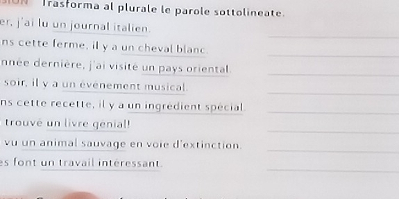 UN Trasforma al plurale le parole sottolineate. 
er, j'ai lu un journal italien. 
_ 
ns cette ferme, il y a un cheval blanc. 
_ 
nnée dernière, j'ai visité un pays oriental._ 
soir, il y a un évenement musical. 
_ 
ns cette recette, il y a un ingrédient spécial._ 
_ 
trouvé un livre génial! 
_ 
vu un animal sauvage en voie d'extinction. 
_ 
es font un travail intéressant.