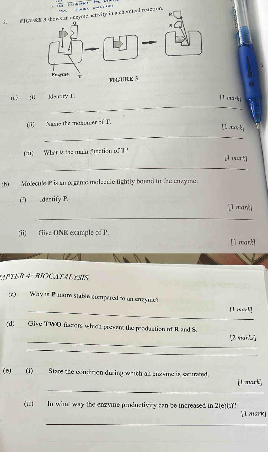 This facilitn les t 
ucose molecules 
3. FIGURE 3 shows an enzyme activity in a chemical reaction. 
4. 
(a) (i) Identify T. 
_ 
[1 mark] 
(ii) Name the monomer of T. 
_ 
[1 mark] 
(iii) What is the main function of T? 
[1 mark] 
_ 
(b) Molecule P is an organic molecule tightly bound to the enzyme. 
(i) Identify P. 
[1 mark] 
_ 
(ii) Give ONE example of P. 
[1 mark] 
APTER 4: BIOCATALYSIS 
(c) Why is P more stable compared to an enzyme? 
_[1 mark] 
(d) Give TWO factors which prevent the production of R and S. 
_ 
[2 marks] 
_ 
(e) (i) State the condition during which an enzyme is saturated. 
_ 
[1 mark] 
(ii) In what way the enzyme productivity can be increased in 2(e)(i)
[l mark] 
_