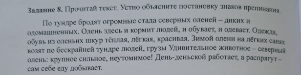 задание δ. Прочитай τекст. устно обьясните постановку знаков πреπинания. 
По тундре бродят огромные стада северньх оленей - дикихи 
оломашнненньх. Олень здесь и кормит люодей, и обуваете иодеваете Олдежла. 
обувь из оленьих шкур тёπлая, лёгкая, красивая. Зимой олени на лёгких саня 
возят по бескрайнейтундре люодей, грузыι удивительное животное - северный 
олень: крупное сильное, неутомимое! День-деньской работает, а распрягут- 
сам себе елу добывает.