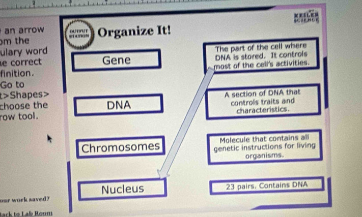 an arrow M L E S sience
m the Organize It!

ulary word
The part of the cell where
e correct Gene DNA is stored. It controls
finition. most of the cell's activities.
Go to
t>Shapes>
A section of DNA that
choose the DNA
row tool. controls traits and
characteristics.
Chromosomes Molecule that contains all
genetic instructions for living
organisms.
Nucleus
our work saved? 23 pairs. Contains DNA
Back to Lab Room