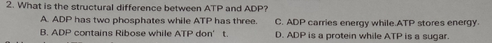 What is the structural difference between ATP and ADP?
A. ADP has two phosphates while ATP has three. C. ADP carries energy while.ATP stores energy.
B. ADP contains Ribose while ATP don’ t. D. ADP is a protein while ATP is a sugar.