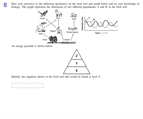 Base your answer(s) to the following question(s) on the food web and graph below and on your knowledge of 
biology. The graph represents the interaction of two different populations, A and B, in the food web. 
ears 
An energy pyramid is shown below. 
Identify one organism shown in the food web that would be found at level X.