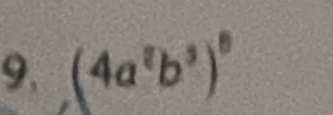 (4a^2b^3)^8