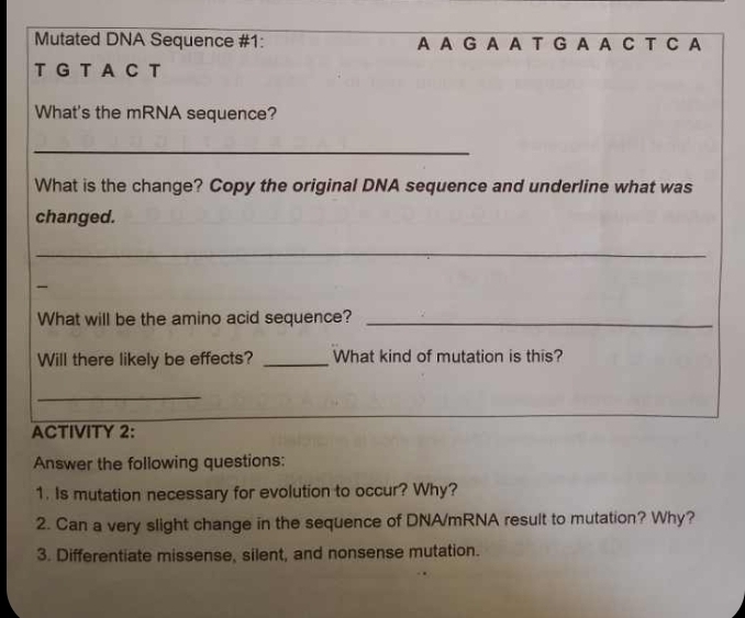 Mutated DNA Sequence #1: A A G A A T G A A C T C A 
T G T A C T 
What's the mRNA sequence? 
_ 
What is the change? Copy the original DNA sequence and underline what was 
changed. 
_ 
What will be the amino acid sequence?_ 
Will there likely be effects? _What kind of mutation is this? 
_ 
ACTIVITY 2: 
Answer the following questions: 
1. Is mutation necessary for evolution to occur? Why? 
2. Can a very slight change in the sequence of DNA/mRNA result to mutation? Why? 
3. Differentiate missense, silent, and nonsense mutation.