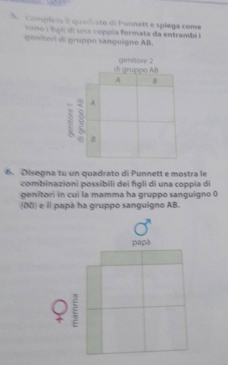 Completa il quadiato di Punnett e spiega come 
so o i fgli di una coppia formata da entrambi i 
genitori di gruppo sanguigno AB. 
genitore 2
6. Disegna tu un quadrato di Punnett e mostra le 
combinazioni possibili dei fīgli di una coppia di 
genitori in cui la mamma ha gruppo sanguigno 0 
(00) e il papà ha gruppo sanguigno AB. 
papà 
ε