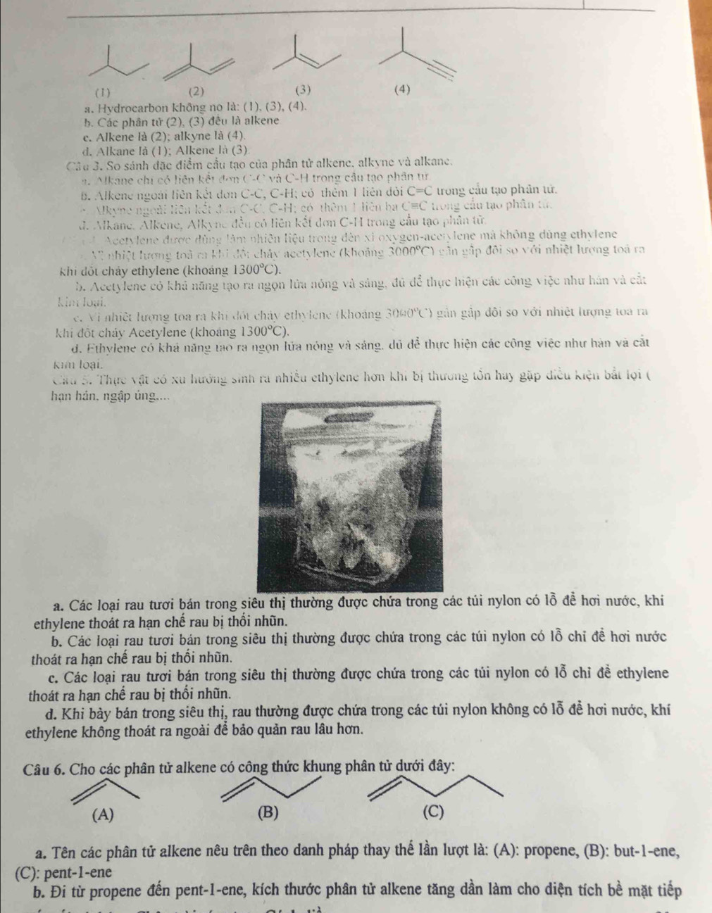 (1) (2) (3) (4)
a. Hydrocarbon không no là: (1), (3), (4).
b. Các phân tử (2), (3) đều là alkene
c. Alkene là (2); alkyne a(4
d. Alkane là (1); Alkene là (3)
Câu 3. So sánh đặc điểm cầu tạo của phân tử alkene, alkyne và alkane,
a. Alkane chi có liên kết đơn C-C và C-H trong cầu tạo phân tự
b. Alkene ngoài liên kết đơn C-C, C-H; có thêm 1 liên đỏi C=C trong cầu tạo phân tử.
* Alkyng ngoài liên kết đơn C-C. C-H; có thêm 1 liên ba Cequiv C trong cầu tạo phân tửc
d. Alkane. Alkene, Alkyne đều có liên kết đơn C-H trong cầu tạo phân tữ.
Acetylene được đùng làm nhiên liệu trong đến xỉ oxygen-acetylene má không dùng ethylene
: , Vũ nhiệt lượng toà ra khi đột chảy acetylene (khoảng 3000°C) gân gập đôi số với nhiệt lượng toà ra
khi đốt chảy ethylene (khoảng 1300°C).
b. Acetylene có khả năng tạo ra ngọn lửa nóng và sảng, đủ doverline c thực hiện các công việc như hán và cắt
Kim loại.
c. Vi nhiệt lượng toa ra khi đói chảy ethylene (khoảng 30omega 0°C) gần gắp đôi so với nhiệt lượng toa ra
khi đột cháy Acetylene (khoảng 1300°C).
d. Ethylene có khá năng tạo ra ngọn lửa nóng và sáng, dủ de^(vector e) thực hiện các công việc như hàn và cắt
kim loại.
Cu 5. Thực vật có xu hướng sinh ru nhiều ethylene hơn khi bị thương tồn huy gặp điều kiện bắt lọi (
hạn hán, ngập úng....
a. Các loại rau tươi bán trong siêu thị thường được chứa trong các túi nylon có lỗ để hơi nước, khi
ethylene thoát ra hạn chế rau bị thối nhũn.
b. Các loại rau tươi bán trong siêu thị thường được chứa trong các túi nylon có lỗ chỉ đề hơi nước
thoát ra hạn chế rau bị thối nhũn.
c. Các loại rau tươi bán trong siêu thị thường được chứa trong các tủi nylon có lỗ chỉ đề ethylene
thoát ra hạn chế rau bị thổi nhũn.
d. Khi bày bán trong siêu thị, rau thường được chứa trong các túi nylon không có lỗ đề hơi nước, khí
ethylene không thoát ra ngoài để bảo quản rau lâu hơn.
Câu 6. Cho các phân tử alkene có công thức khung phân tử dưới đây:
(A) (B) (C)
a. Tên các phân tử alkene nêu trên theo danh pháp thay thế lần lượt là: (A): propene, (B): but-1-ene,
(C): pent-1-ene
b. Đi từ propene đến pent-1-ene, kích thước phân tử alkene tăng dần làm cho diện tích bề mặt tiếp