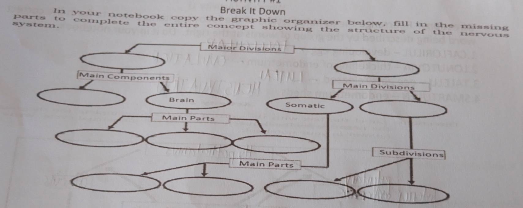 Break It Down 
In your notebook copy the graphic organizer below, fill in the missing 
system. 
parts to complete the entire concept showing the structure of the nus